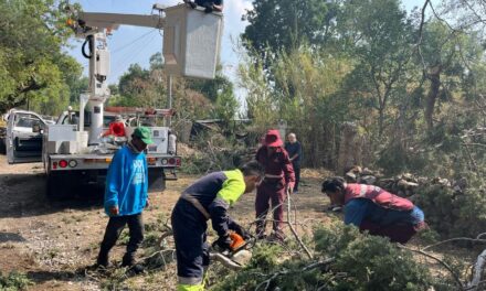 Gobierno de Tepeji del Río atiende afectaciones por lluvias y mantiene monitoreo de cuerpos de agua