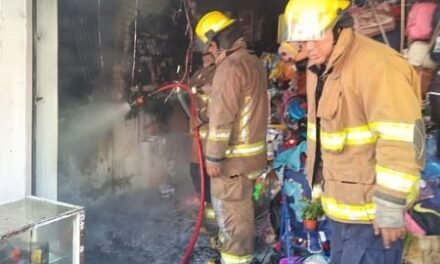 La Unidad Municipal de Protección Civil y Bomberos Tepeji del Río, atendió dos servicios por incendio.