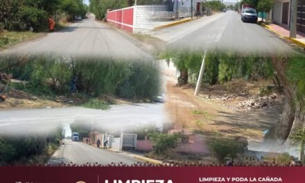 Realizan labores de poda y limpieza en La Cañada de Atotonilco de Tula