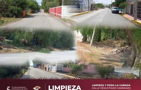 Realizan labores de poda y limpieza en La Cañada de Atotonilco de Tula