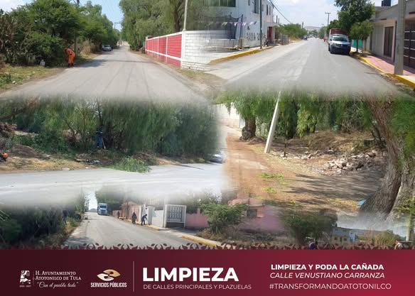Realizan labores de poda y limpieza en La Cañada de Atotonilco de Tula