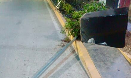 Municipio rehabilita jardinera dañada en la zona centro