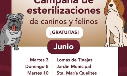 Domingo 8 de junio habrá campaña gratuita de esterilización felina y canina en el Jardín Municipal de Tepeji