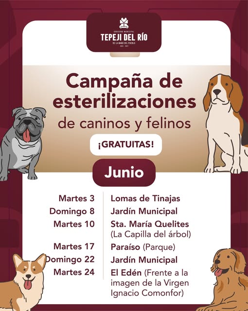 Domingo 8 de junio habrá campaña gratuita de esterilización felina y canina en el Jardín Municipal de Tepeji