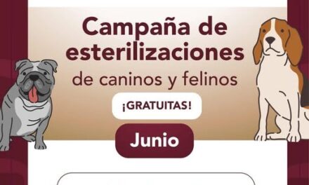 Mañana habrá Campaña de esterilización canina y felina en el Jardín Municipal de Tepeji del Río
