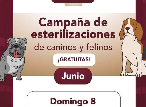Mañana habrá Campaña de esterilización canina y felina en el Jardín Municipal de Tepeji del Río