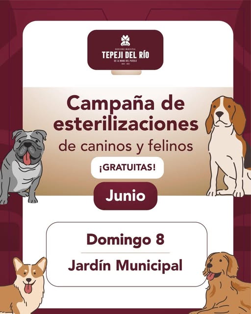 Mañana habrá Campaña de esterilización canina y felina en el Jardín Municipal de Tepeji del Río