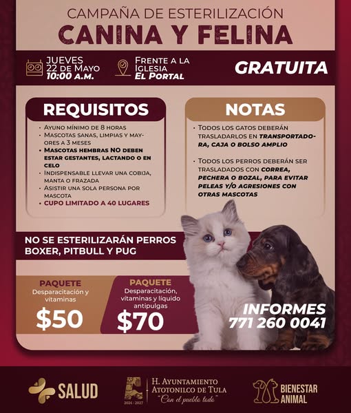 Campaña de Esterilización Canina y Felina 𝗚𝗥𝗔𝗧𝗨𝗜𝗧𝗔 𝗳𝗿𝗲𝗻𝘁𝗲 𝗮 𝗹𝗮 𝗜𝗴𝗹𝗲𝘀𝗶𝗮 𝗲𝗻 𝗘𝗹 𝗣𝗼𝗿𝘁𝗮𝗹 de Atotonilco de Tula