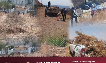 Jornada de limpieza en Casas Quma