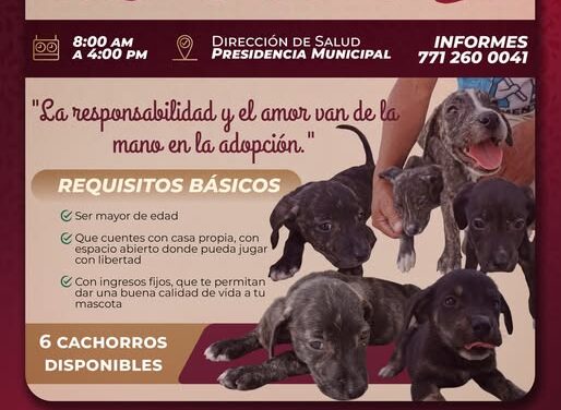 Adopta un amigo peludo en Atotonilco deTula