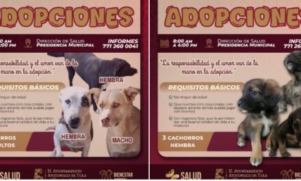 Ven y adopta un amigo peludo en Atotonilco de Tula