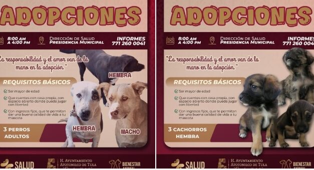Ven y adopta un amigo peludo en Atotonilco de Tula