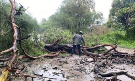 La Unidad Municipal de Protección Civil y Bomberos de #Tula informa