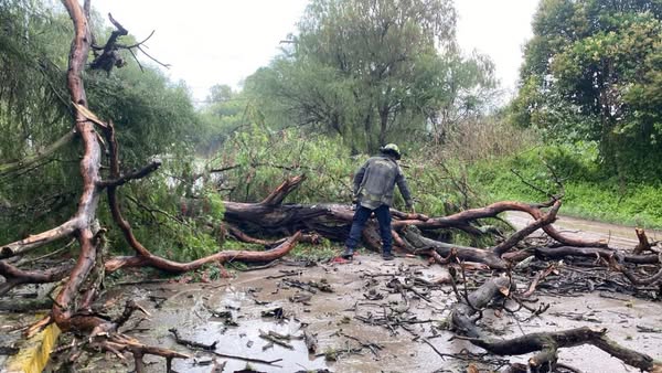 La Unidad Municipal de Protección Civil y Bomberos de #Tula informa
