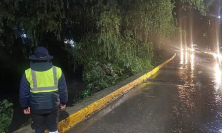 La Unidad Municipal de Protección Civil y Bomberos #TepejiDelRío informa