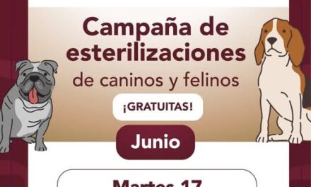 Mañana habrá campaña de esterilización canina y felina gratuita en El Paraíso.