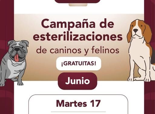 Mañana habrá campaña de esterilización canina y felina gratuita en El Paraíso.