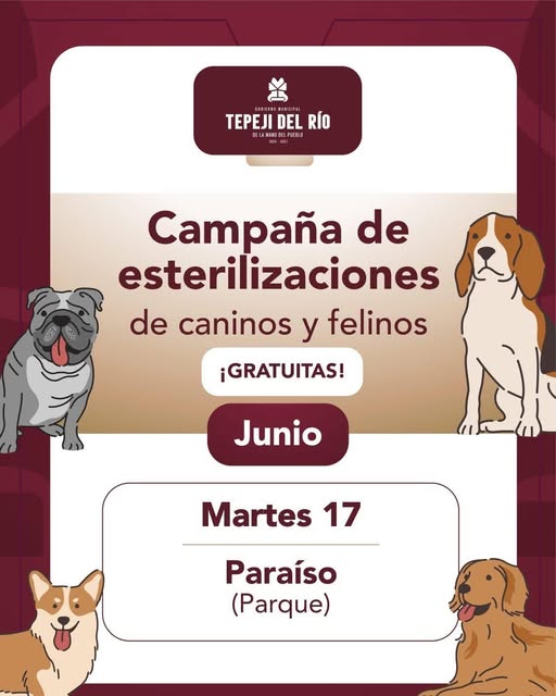 Mañana habrá campaña de esterilización canina y felina gratuita en El Paraíso.