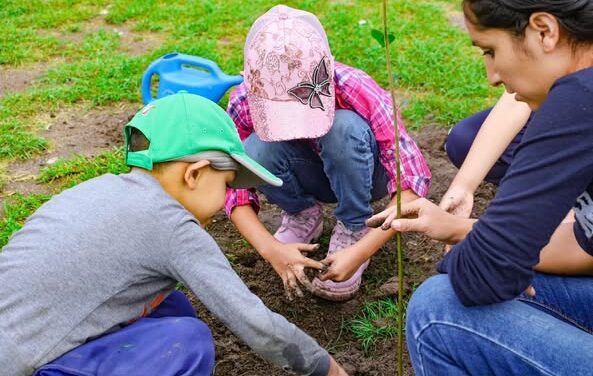 Realizan reforestación en la colonia El Montecillo