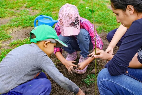 Realizan reforestación en la colonia El Montecillo