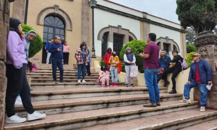 Hoy, campaña de esterilización canina y felina en el centro de Tepeji