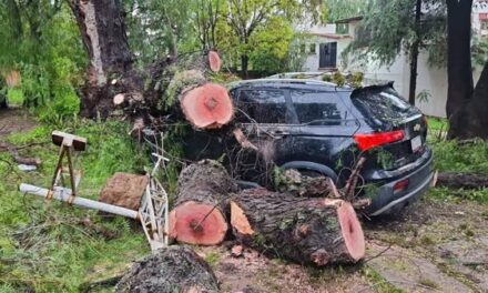 Atienden afectaciones causadas por las lluvias y ráfagas de viento que se registraron en Tula de Allende