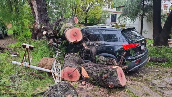 Atienden afectaciones causadas por las lluvias y ráfagas de viento que se registraron en Tula de Allende
