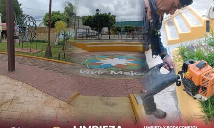 Realizan poda y limpieza de la plazuela Bicentenario de la localidad de Conejos