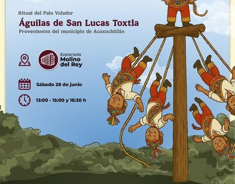 ¡𝐇𝐢𝐝𝐚𝐥𝐠𝐨 𝐥𝐥𝐞𝐠𝐚 𝐚 𝐋𝐨𝐬 𝐏𝐢𝐧𝐨𝐬!