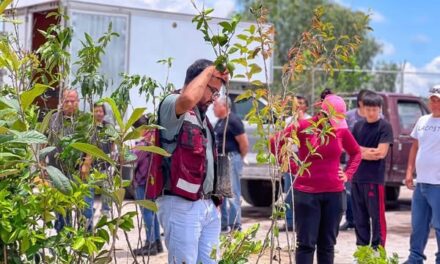 Entregan 𝟳𝟮𝟲 𝗮́𝗿𝗯𝗼𝗹𝗲𝘀 𝗳𝗿𝘂𝘁𝗮𝗹𝗲𝘀 𝗮 𝗯𝗮𝗷𝗼 𝗰𝗼𝘀𝘁𝗼 𝗲𝗻 𝗔𝘁𝗼𝘁𝗼𝗻𝗶𝗹𝗰𝗼 𝗱𝗲 𝗧𝘂𝗹𝗮