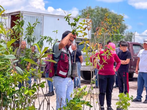 Entregan 𝟳𝟮𝟲 𝗮́𝗿𝗯𝗼𝗹𝗲𝘀 𝗳𝗿𝘂𝘁𝗮𝗹𝗲𝘀 𝗮 𝗯𝗮𝗷𝗼 𝗰𝗼𝘀𝘁𝗼 𝗲𝗻 𝗔𝘁𝗼𝘁𝗼𝗻𝗶𝗹𝗰𝗼 𝗱𝗲 𝗧𝘂𝗹𝗮