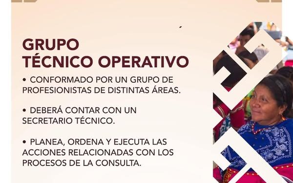 Participa en la Consulta Indígena este domingo 6 de julio en San Ildefonso