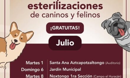 Conoce el programa de Esterilización Felina y Canina gratuita en Tepeji del Río