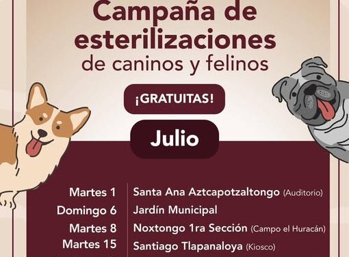 Conoce el programa de Esterilización Felina y Canina gratuita en Tepeji del Río