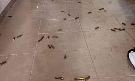 ASEGURAN VEHÍCULOS Y CARTUCHOS PARA ARMA DE FUEGO EN TULA DE ALLENDE