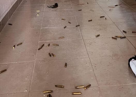 ASEGURAN VEHÍCULOS Y CARTUCHOS PARA ARMA DE FUEGO EN TULA DE ALLENDE