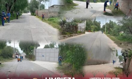 Realizan jornada de recuperación de espacios en Bóvedas