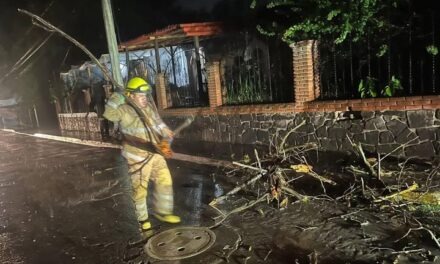 La Unidad de Protección Civil de #TepejiDelRío informa: