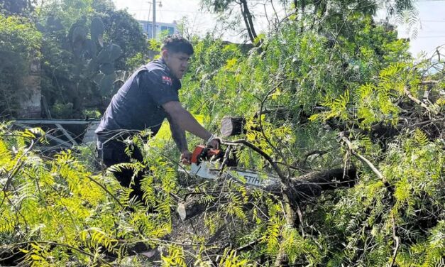 Protección Civil y Bomberos Tepeji del Río informa: