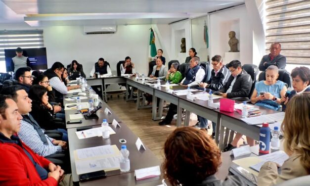 Instancias correspondientes determinarán si hay irregularidades en la licitación de lunimanias: Christian Martínez