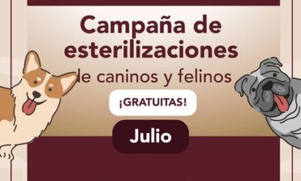 Mañana habrá CAMPAÑA DE ESTERILIZACIÓN CANINA Y FELINA en Santiago Tlapanaloya