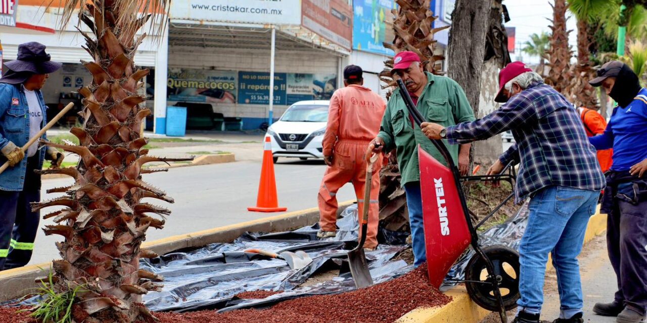 Continúan trabajos de rehabilitación del bulevar Tula-Iturbe
