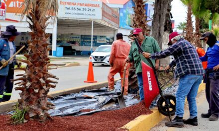 Continúan trabajos de rehabilitación del bulevar Tula-Iturbe