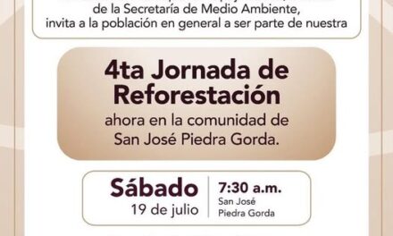 Invitan a participar en la 4a Jornada de Reforestación en Tepeji del Río