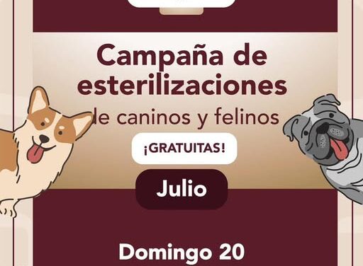 Mañana habrá esterilización canina y felina gratuita en el jardín municipal de #TepejiDelRío.