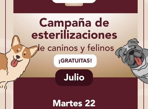 Mañana habrá campaña de esterilización felina y canina gratuita en #Tlaxinacalpan.