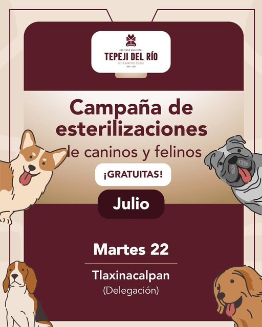 Mañana habrá campaña de esterilización felina y canina gratuita en #Tlaxinacalpan.