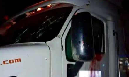 El brazo torpe y lento de la ley