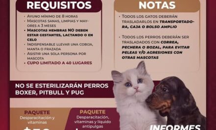 Habrá esterilización canina y felina gratuita en Quma