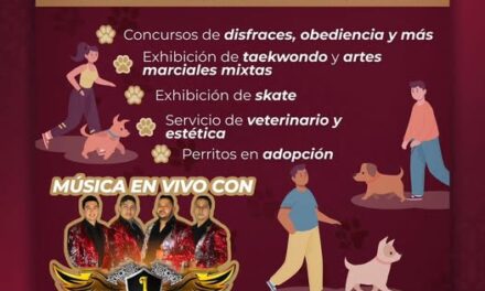 Invitan aparticipar en la caminata «Huellas en Movimiento»